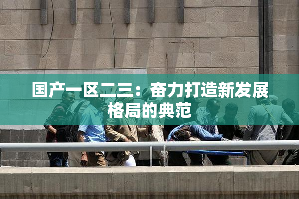 国产一区二三：奋力打造新发展格局的典范