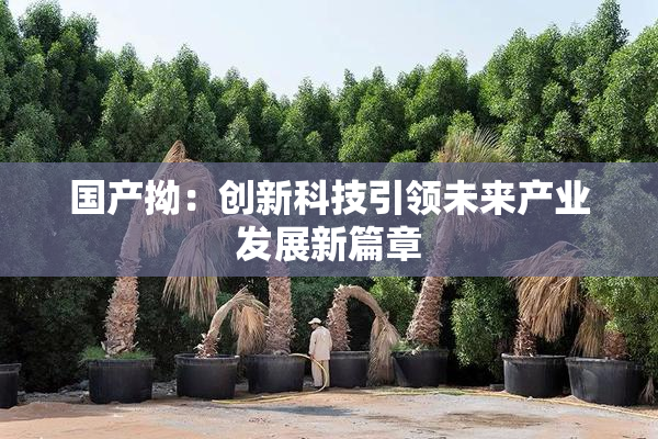 国产拗：创新科技引领未来产业发展新篇章