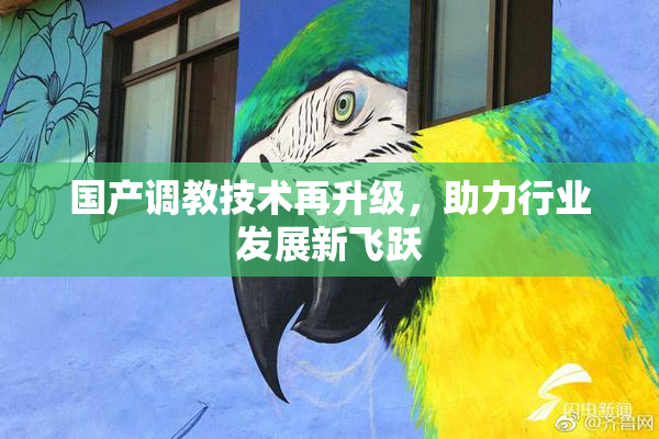 国产调教技术再升级，助力行业发展新飞跃