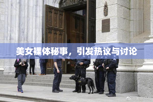 美女裸体秘事，引发热议与讨论