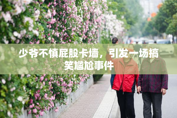 少爷不慎屁股卡墙，引发一场搞笑尴尬事件