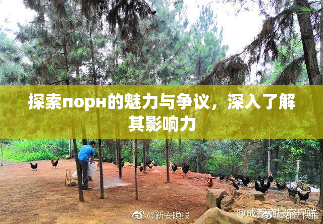 探索порн的魅力与争议，深入了解其影响力