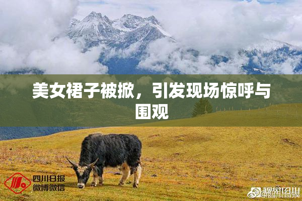 美女裙子被掀，引发现场惊呼与围观