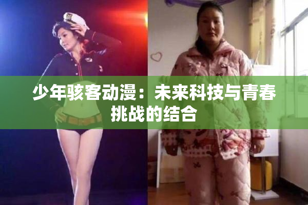 少年骇客动漫：未来科技与青春挑战的结合