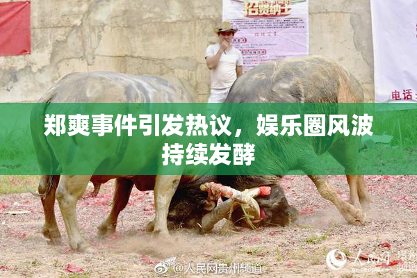 郑爽事件引发热议，娱乐圈风波持续发酵