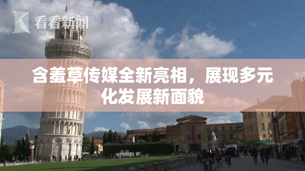 含羞草传媒全新亮相，展现多元化发展新面貌