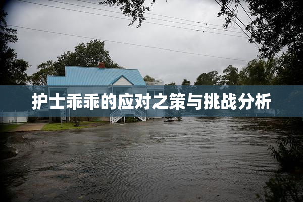 护士乖乖的应对之策与挑战分析