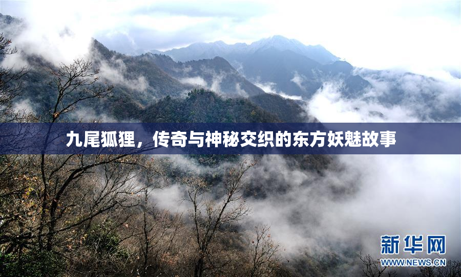 九尾狐狸，传奇与神秘交织的东方妖魅故事
