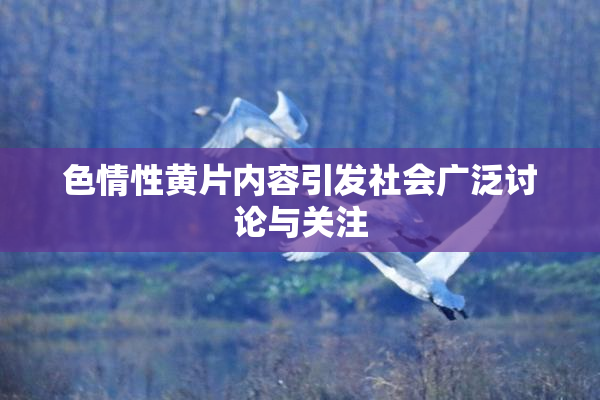 色情性黄片内容引发社会广泛讨论与关注