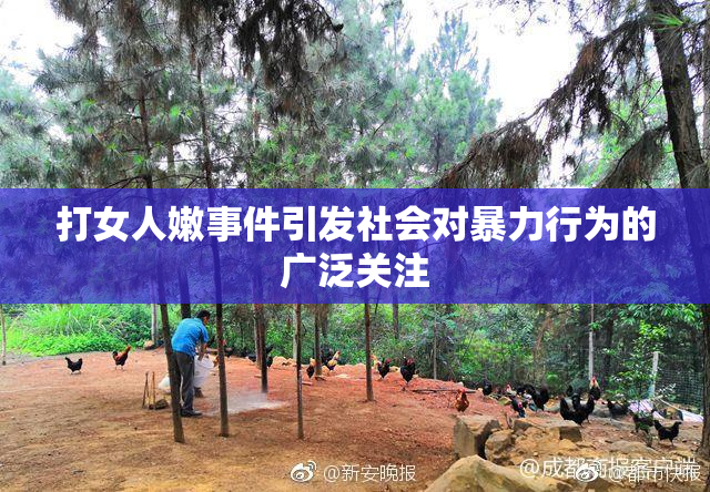打女人嫩事件引发社会对暴力行为的广泛关注