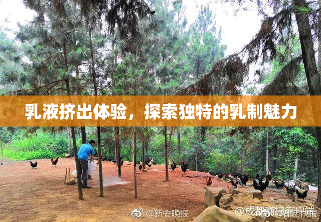 乳液挤出体验，探索独特的乳制魅力