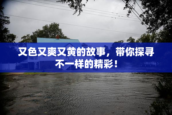 又色又爽又黄的故事，带你探寻不一样的精彩！