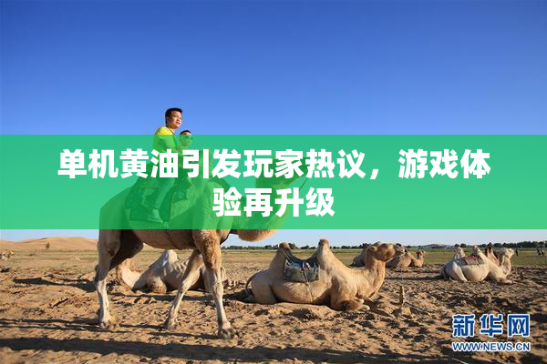 单机黄油引发玩家热议，游戏体验再升级
