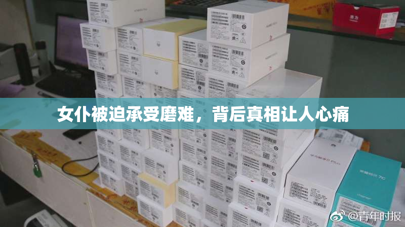 女仆被迫承受磨难，背后真相让人心痛