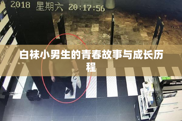 白袜小男生的青春故事与成长历程