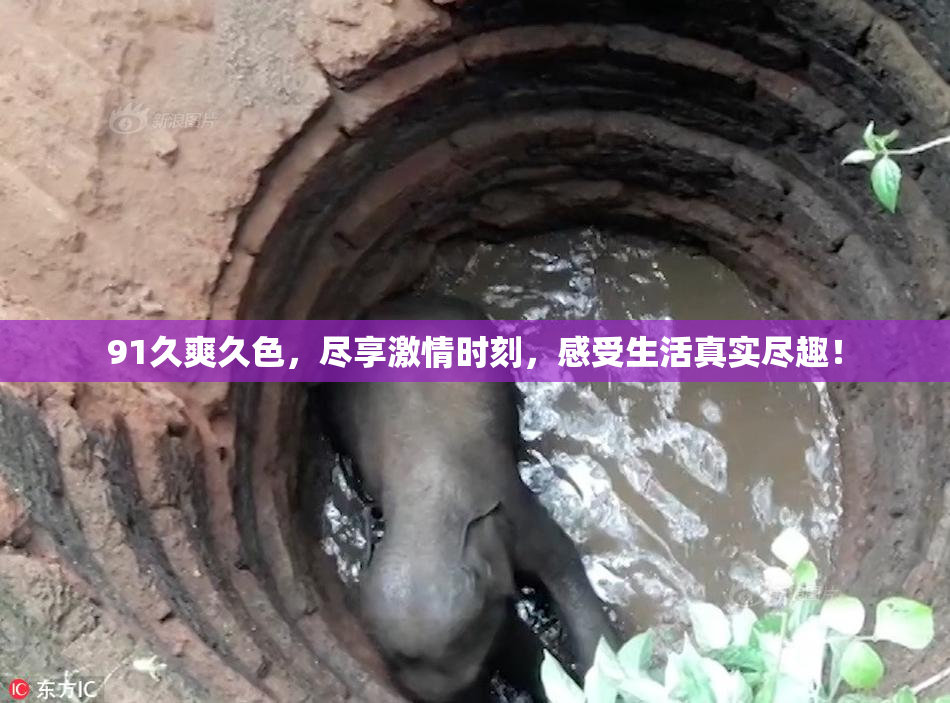 91久爽久色，尽享激情时刻，感受生活真实尽趣！