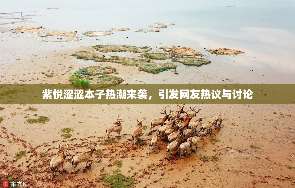 紫悦涩涩本子热潮来袭，引发网友热议与讨论