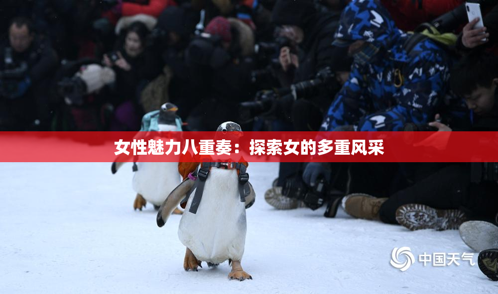 女性魅力八重奏：探索女的多重风采