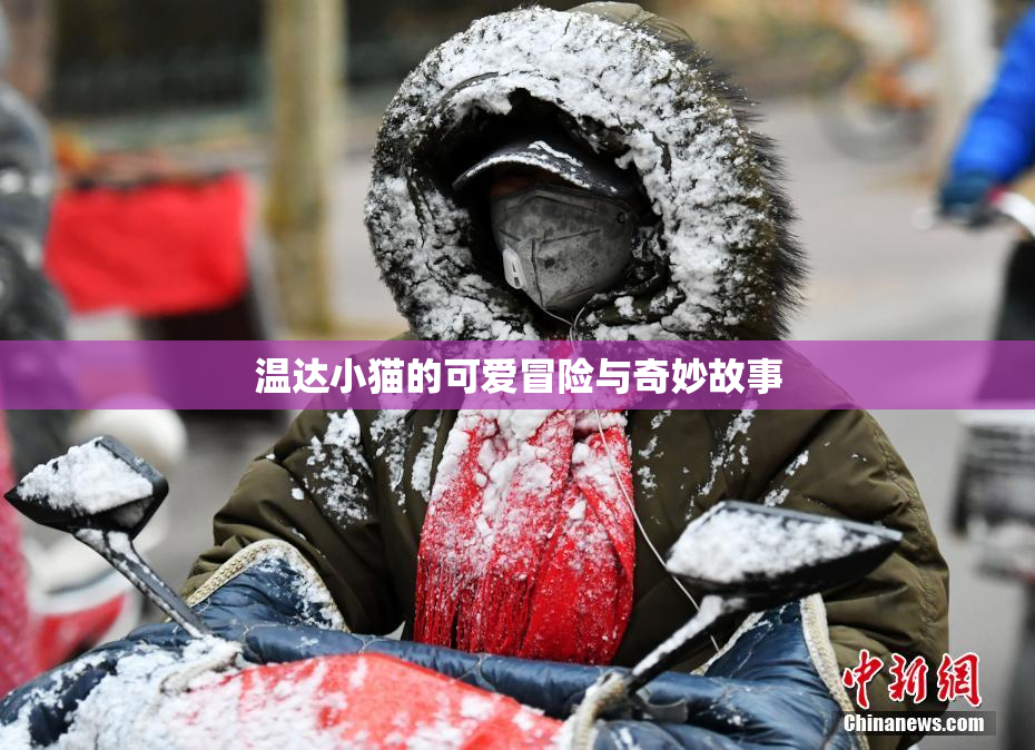 温达小猫的可爱冒险与奇妙故事