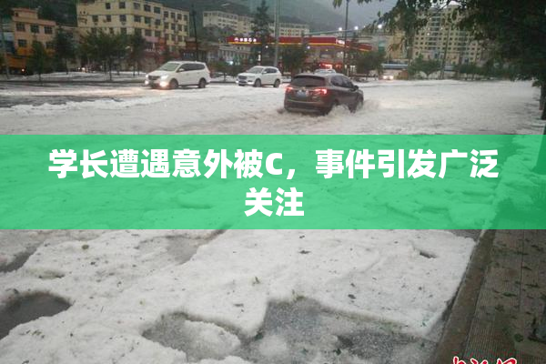 学长遭遇意外被C，事件引发广泛关注