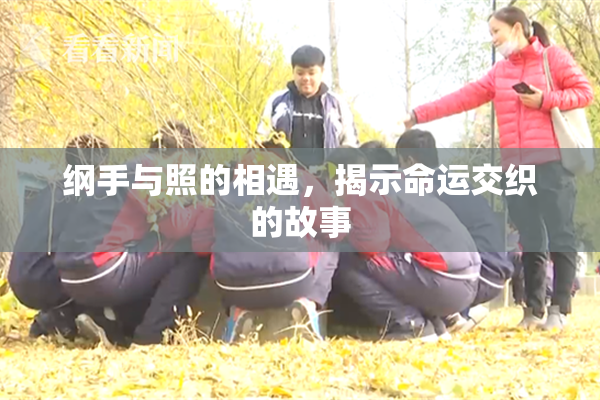 纲手与照的相遇，揭示命运交织的故事