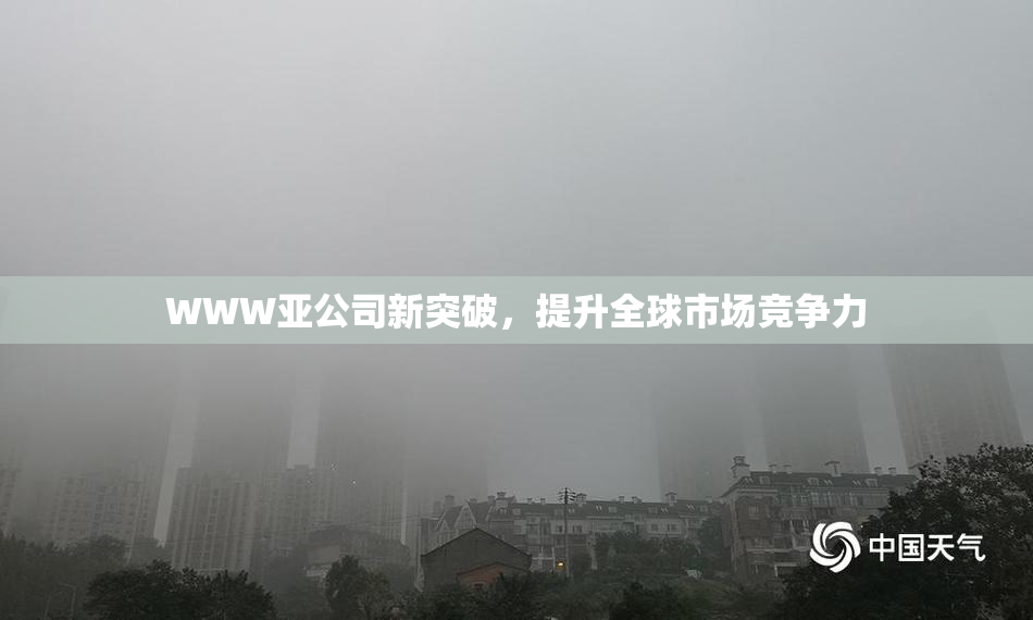 WWW亚公司新突破，提升全球市场竞争力