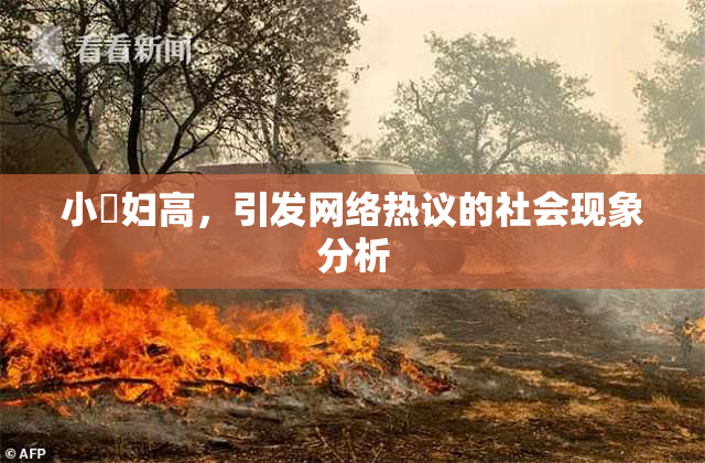 小婬妇高，引发网络热议的社会现象分析