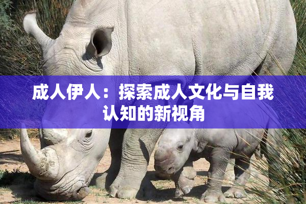 成人伊人：探索成人文化与自我认知的新视角