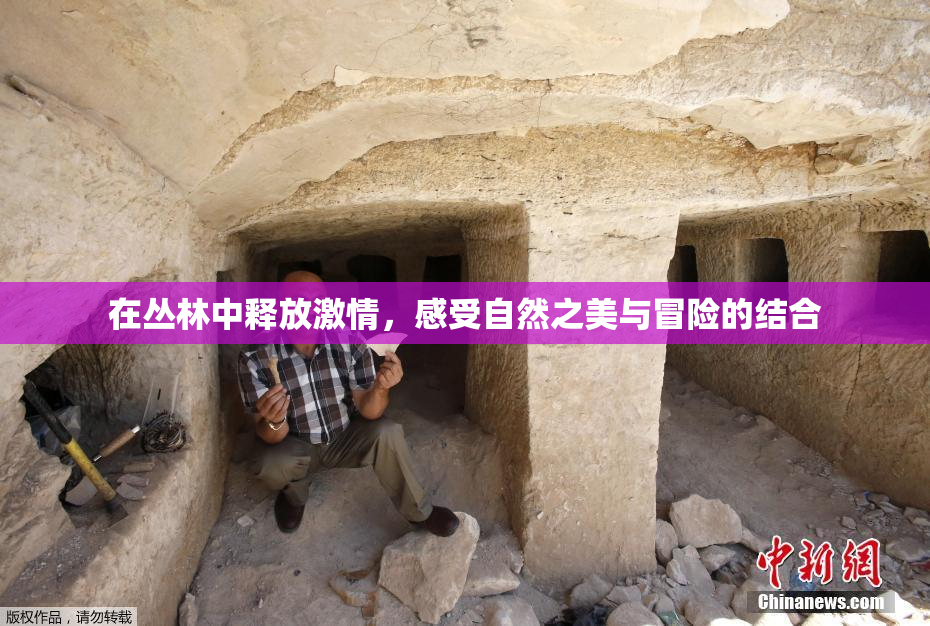 在丛林中释放激情，感受自然之美与冒险的结合