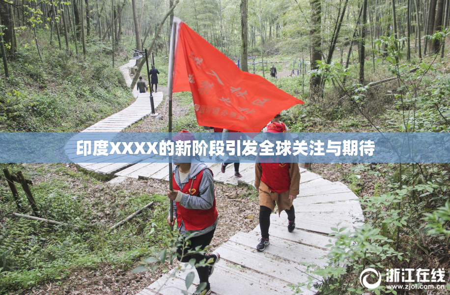 印度XXXX的新阶段引发全球关注与期待