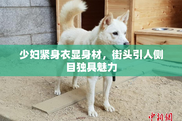 少妇紧身衣显身材，街头引人侧目独具魅力
