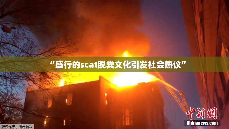 “盛行的scat脱粪文化引发社会热议”