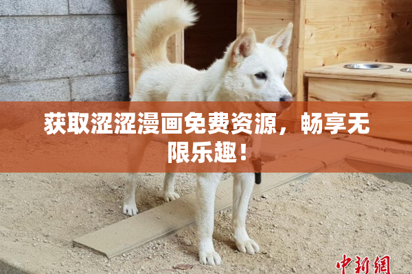 获取涩涩漫画免费资源，畅享无限乐趣！