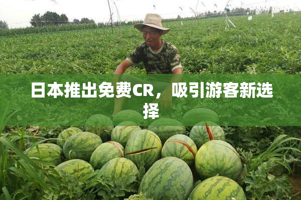 日本推出免费CR，吸引游客新选择