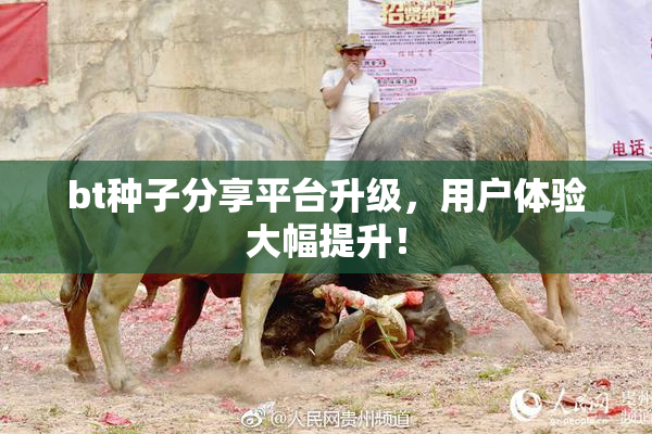 bt种子分享平台升级，用户体验大幅提升！