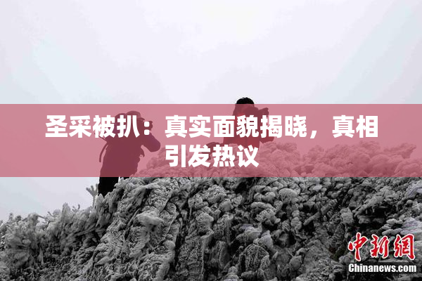 圣采被扒：真实面貌揭晓，真相引发热议