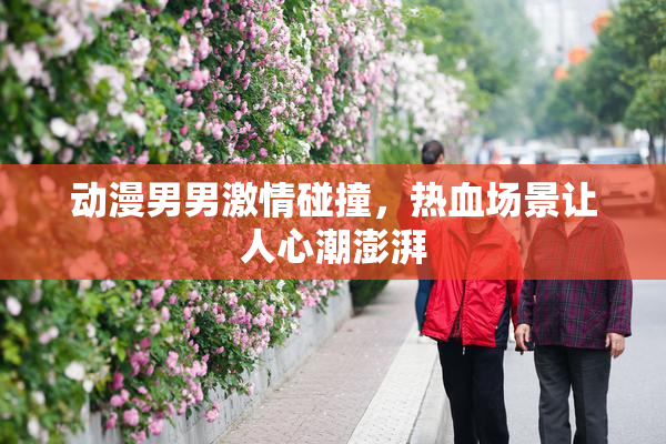 动漫男男激情碰撞，热血场景让人心潮澎湃