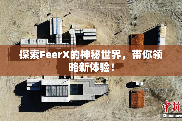 探索FeerX的神秘世界，带你领略新体验！