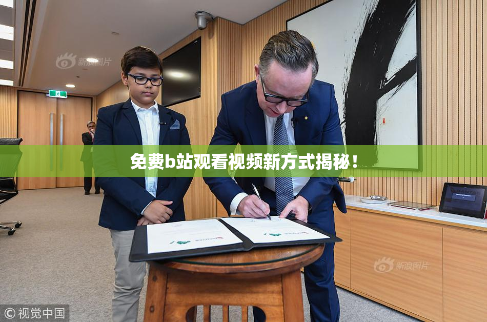 免费b站观看视频新方式揭秘！