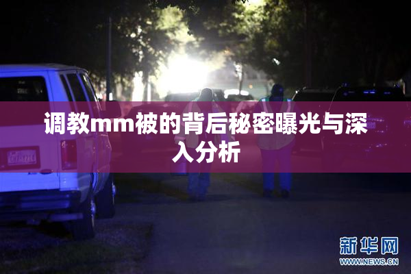 调教mm被的背后秘密曝光与深入分析