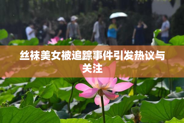 丝袜美女被追踪事件引发热议与关注