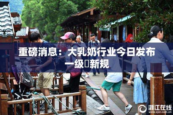 重磅消息：大乳奶行业今日发布一级婬新规