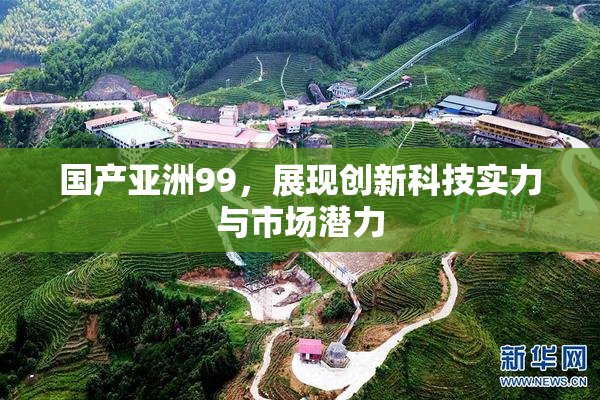 国产亚洲99，展现创新科技实力与市场潜力