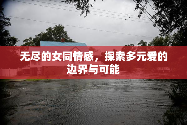 无尽的女同情感，探索多元爱的边界与可能
