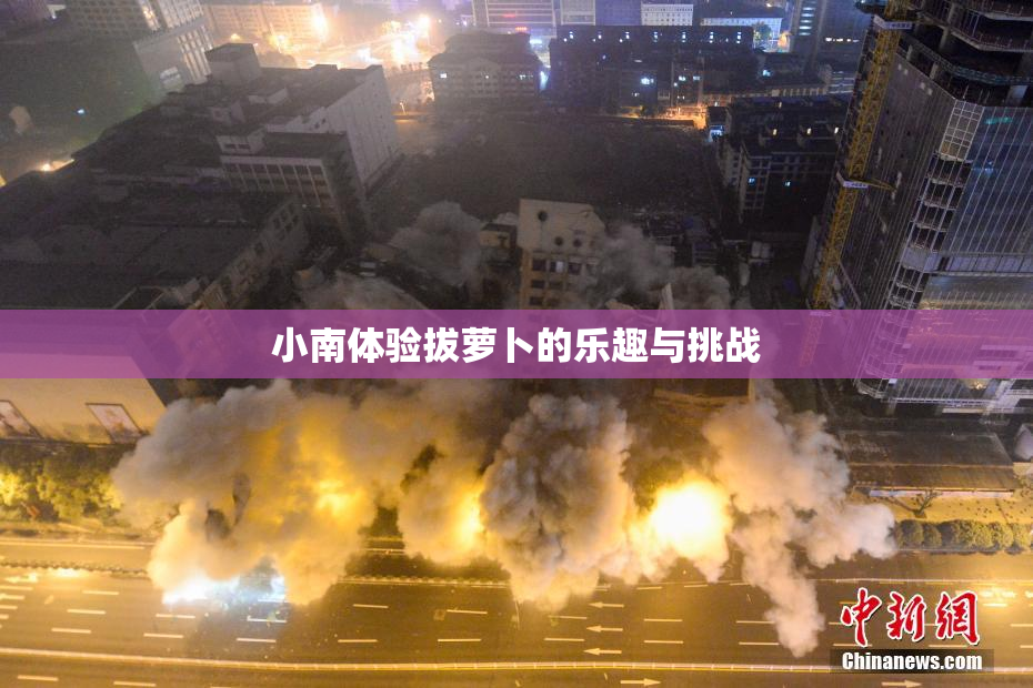 小南体验拔萝卜的乐趣与挑战
