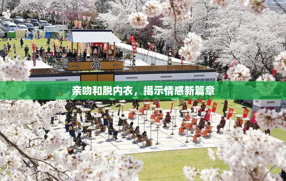 亲吻和脱内衣，揭示情感新篇章