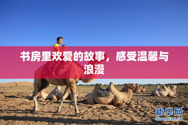 书房里欢爱的故事，感受温馨与浪漫