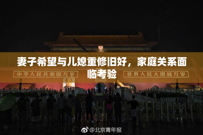 妻子希望与儿媳重修旧好，家庭关系面临考验