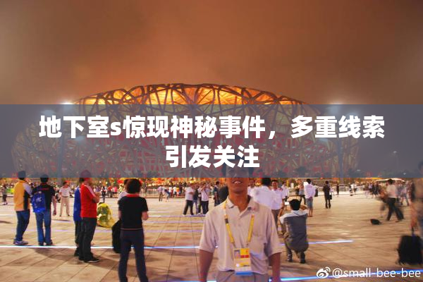 地下室s惊现神秘事件，多重线索引发关注