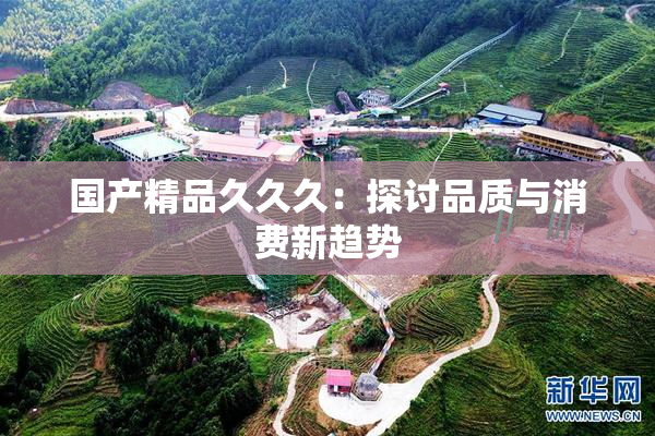 国产精品久久久：探讨品质与消费新趋势